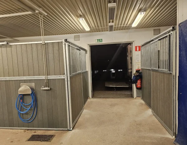 hästbox2