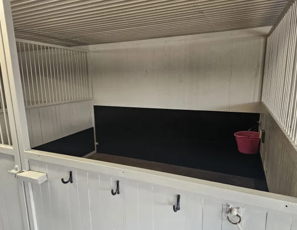 WhatsApp Image 2025-09-09 at 17.00.31